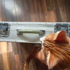 Guitar pedal case