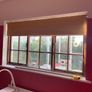 FREE Mustard/ Ochre Blind Image 3