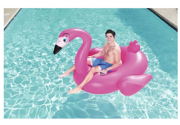 Supersized Flamingo Rider