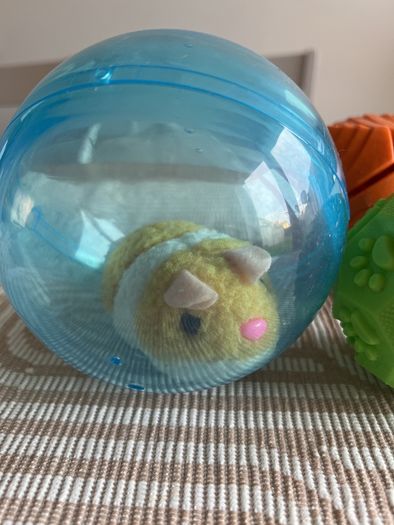 Dog toys