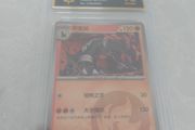 Houndoom Pokemon