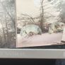 Soundgarden - King Animal - Limited edition Boxset Image 3