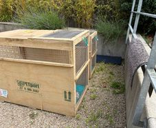 Dog shipping crates