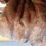 Vintage Fur Coat Image 5