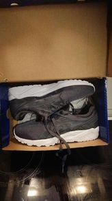 Man trainers