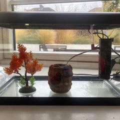 fish tank for sale