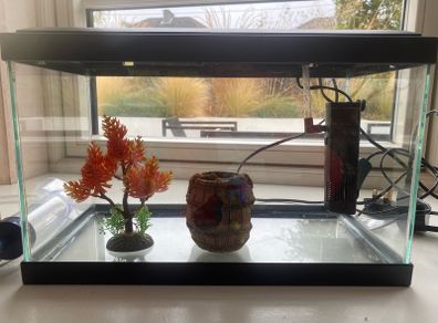 fish tank for sale