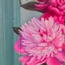 Original Oil Painting Image 9