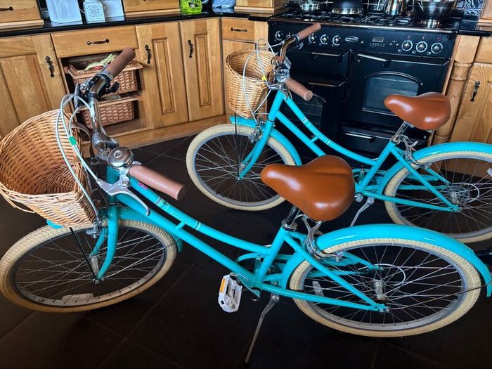 2 bridgedord bikes 24inch for sale 250per bike