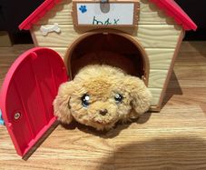 Little live pets kennel and dog