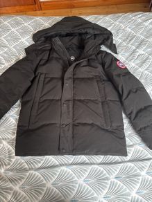 canada goose