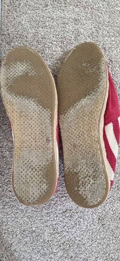 Ladies Tom's shoes