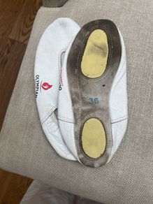 gymnastic shoes