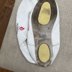 gymnastic shoes