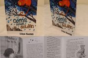 Come Down Golden, Children,s Story Book By Diana Noonan
