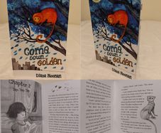 Come Down Golden, Children,s Story Book By Diana Noonan