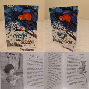 Come Down Golden, Children,s Story Book By Diana Noonan