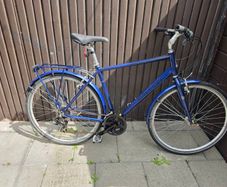 raleigh pioneer 1