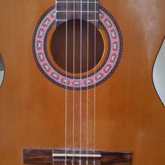 Acoustic guitar