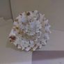 Sea Shell Image 3