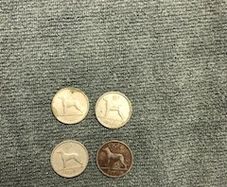 coins