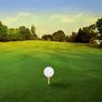 100 Pack Plastic Golf Training Balls with 2 Golf Ball Tees  Airflow Hollow Golf Balls for Indoor Putting Green, Backyard Outdoor Practice Equipment Image 7