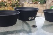 plant pots