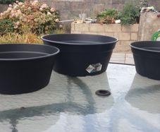 plant pots