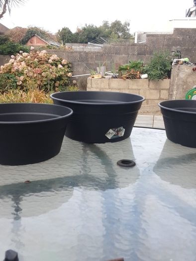 plant pots