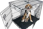 Dog Crate Dog Cage from Small to Large, Foldable Puppy Dog Crates , Cage Furniture with Non-Chew Metal Removable Tray Silver Folding 2 Door Crate, Medium Size 30-inch(76.2cm) Black (FREE POSTAGE)