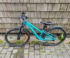Ridgeback bike