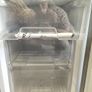 freezer Image 3