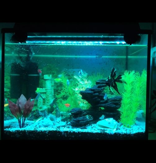 40cm Fish tank light multiple color
