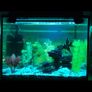 40cm Fish tank light multiple color Image 5