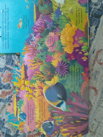 Usborne Look Inside Sea and Oceans