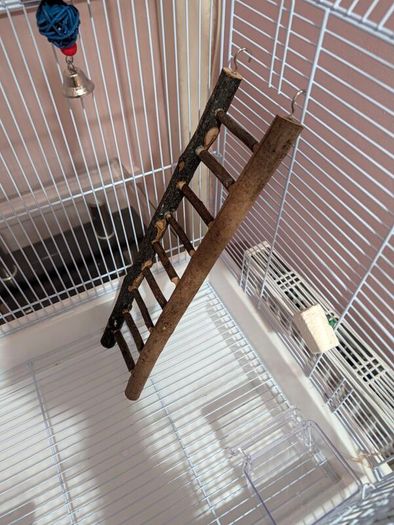 Bird Cage
