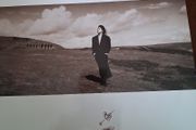 Tanita Tikaram - Ancient Heart -  vinyl LP 1988