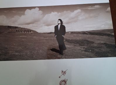Tanita Tikaram - Ancient Heart -  vinyl LP 1988