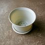 White Plant Pots with Saucers (Set of 5) Image 2