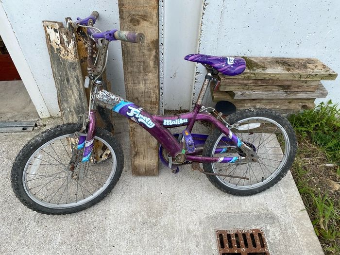 Free girls bike