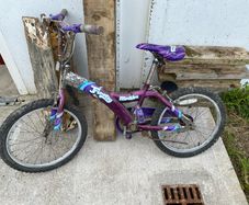 Free girls bike