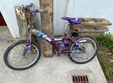 Free girls bike