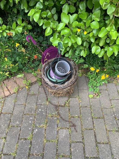 free pots