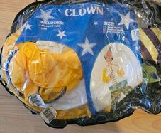Halloween Costume - Clown