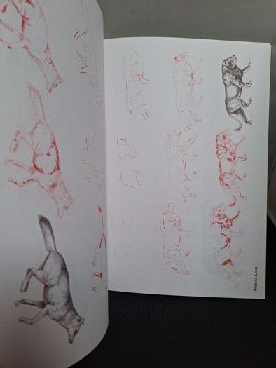 SALE! Set of 4 DRAW 50 drawing books: Dinosaurs, Flowers, Animals and Endangered Animals