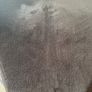 cushion Image 2