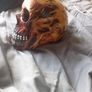 Ceramic skull Image 2