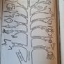 Medical. The Wonderful Story Of The Human Body With Special Draw Illustrations By W. Thornton Shells. First Edition Hardback In Good Condition. Image 4