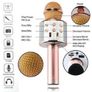 Portable Wireless Bluetooth 4.0 Hand Held Karaoke Microphone Speaker Player Image 7