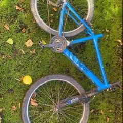 Apollo phaze mountain bike